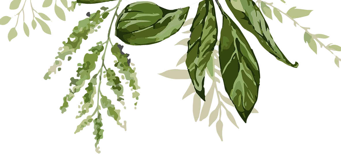 decor floral maella valdevit amenagement paysage jardin