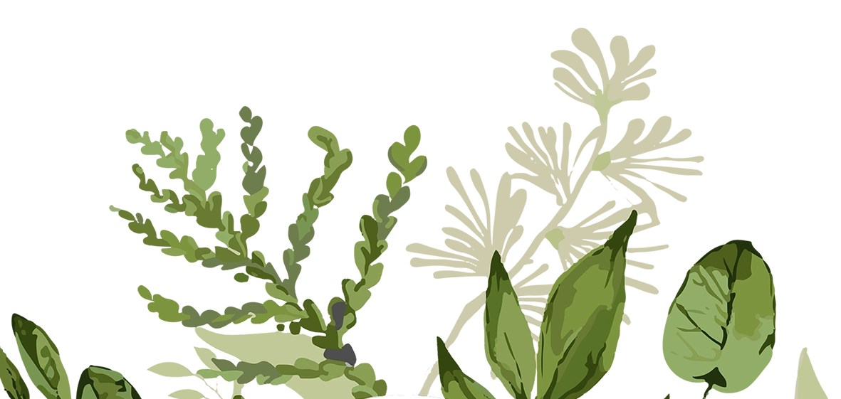 decor floral maella valdevit amenagement paysage jardin